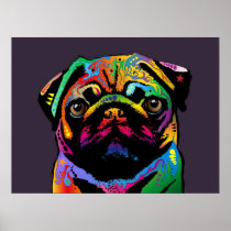 Pug Dog