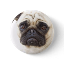 Pug Dog Round Button