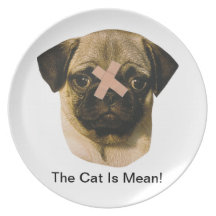 Pug Dog With Band-Aid Plate