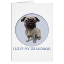 Pug Granddog