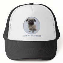 Pug Granddog