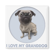 Pug Granddog