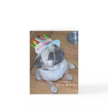 Pug In A Birthday Hat