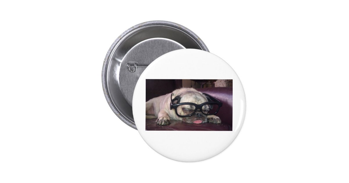 pug in glasses pug in glasses 2 inch button zazzle pug in glasses pug in glasses 2 inch button zazzle