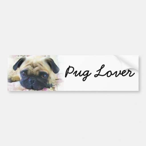 Pug Lover Bumper Sticker