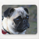 Pug mousepad`