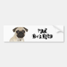 Pug on Board Bumper Sticker