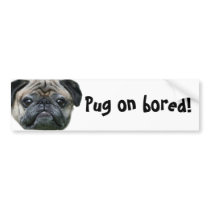 Pug on Bored Pug Dog bumper sticker