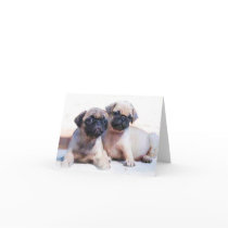 Pug puppies note card