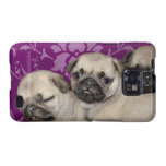 Pug puppies samsung galaxy SII covers