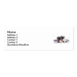 Pug puppies skinny business card