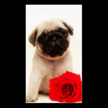 Pug puppy and red rose business card business cards