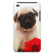 Pug puppy and rose Case-Mate iPod touch case