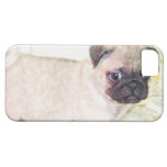 Pug Puppy casemate phone case Barely There iPhone 5 Case