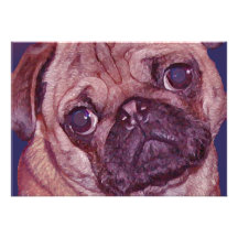 Pug Puppy Face greeting card Announcements