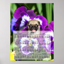Pug puppy in pansies 2012 Calendar poster