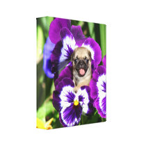 Pug puppy in pansies Canvas print
