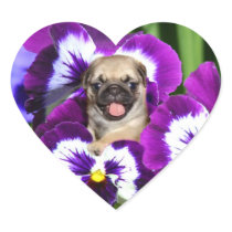 Pug puppy in pansies heart stickers