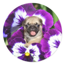 Pug puppy in pansies round sticker