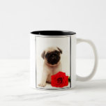 Pug puppy mug