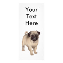 Pug Puppy Rack Card