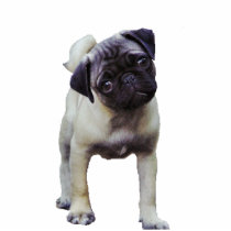 Pug Puppy Sculpture Magnet Photo Cutouts