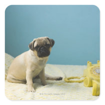 Pug puppy sitting on bed next to phone and stickers