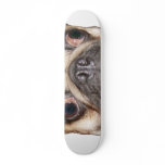 Pug