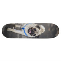 Pug Skateboard