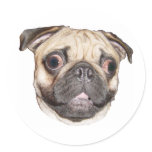 Pug Sticker