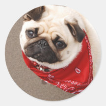 Pug Stickers