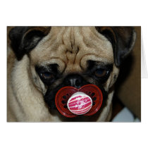 Pug with Binky in his Mouth Card