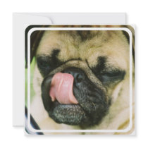 Pugalicious Invitation