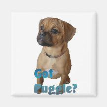 Puggle Lovers Gifts Magnets