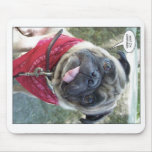 pugs ahoy. mouse mats