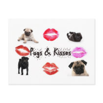 Pugs and Kisses Postcard
