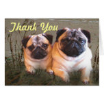Pugs and Kisses Thank You Card