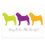 Pugs Colour My World Post Cards