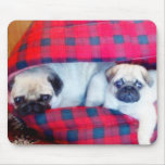 Pugs mousepad