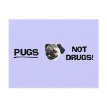 Pugs Not Drugs Postcard