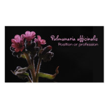 Pulmonaria officinalis business card