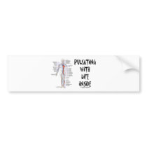 Pulsating With Life Inside (Circulatory System)