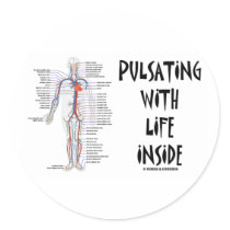 Pulsating With Life Inside (Circulatory System)