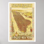 Pulse Of New York Map 1891 posters