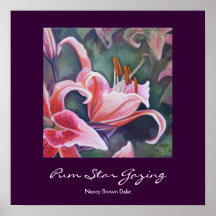 Pum Star Gazing Poster