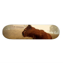 Puma dans un domaine skateboards personnalisés