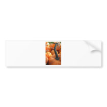Pumpkin close-up bumper sticker