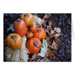 Pumpkin display greeting card