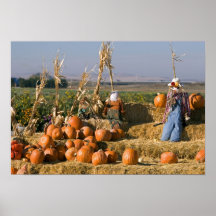 Pumpkin display with hay bales and scarecrows print