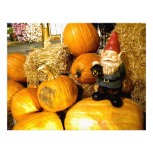 Pumpkin Gnome I Customized Letterhead